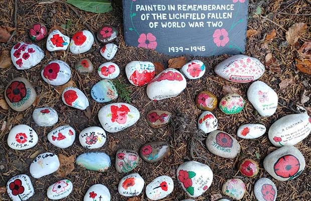 Some of the painted Remembrance Day rocks