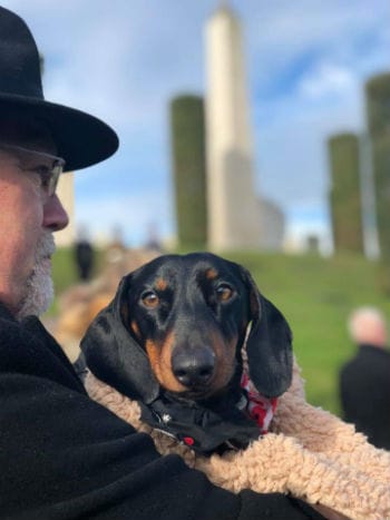 A dog at the National Memorial Arboretum