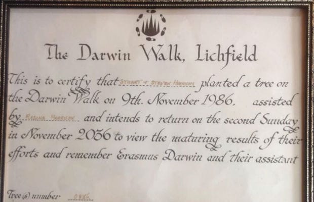 The certificate issues at the time the tree was planted