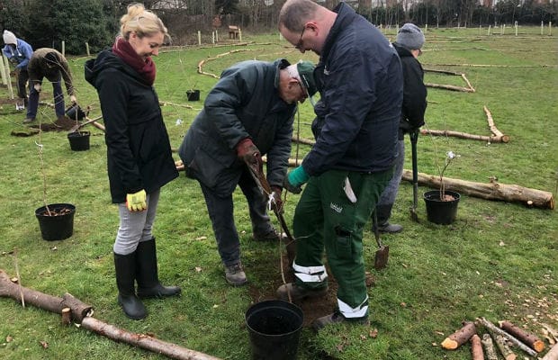 The Peace Woodland being planted