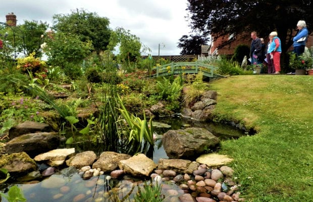 One of the gardens in Whittington
