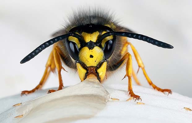 One of Darron Matthews' photographs