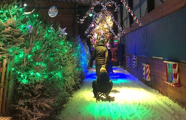 Christmas at the Snowdome