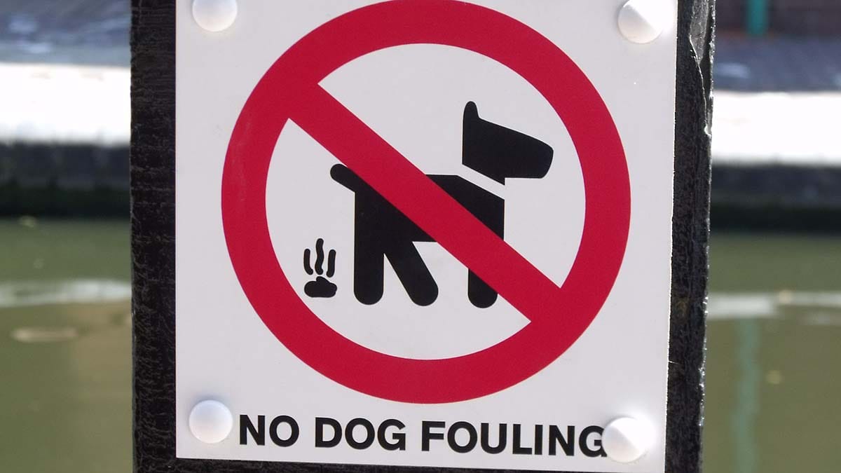 No dog fouling sign. Picture: Elliot Brown
