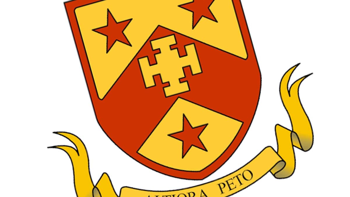 Netherstowe School logo