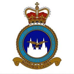 RAF Lichfield Association badge