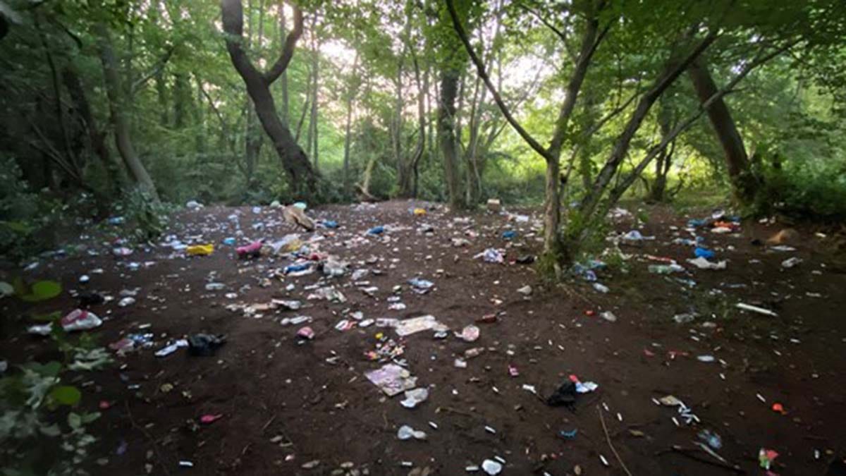 The scene after an illegal rave in Lichfield