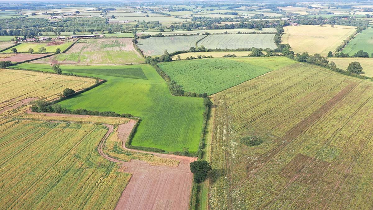 The site earmarked for a solar farm in Haunton