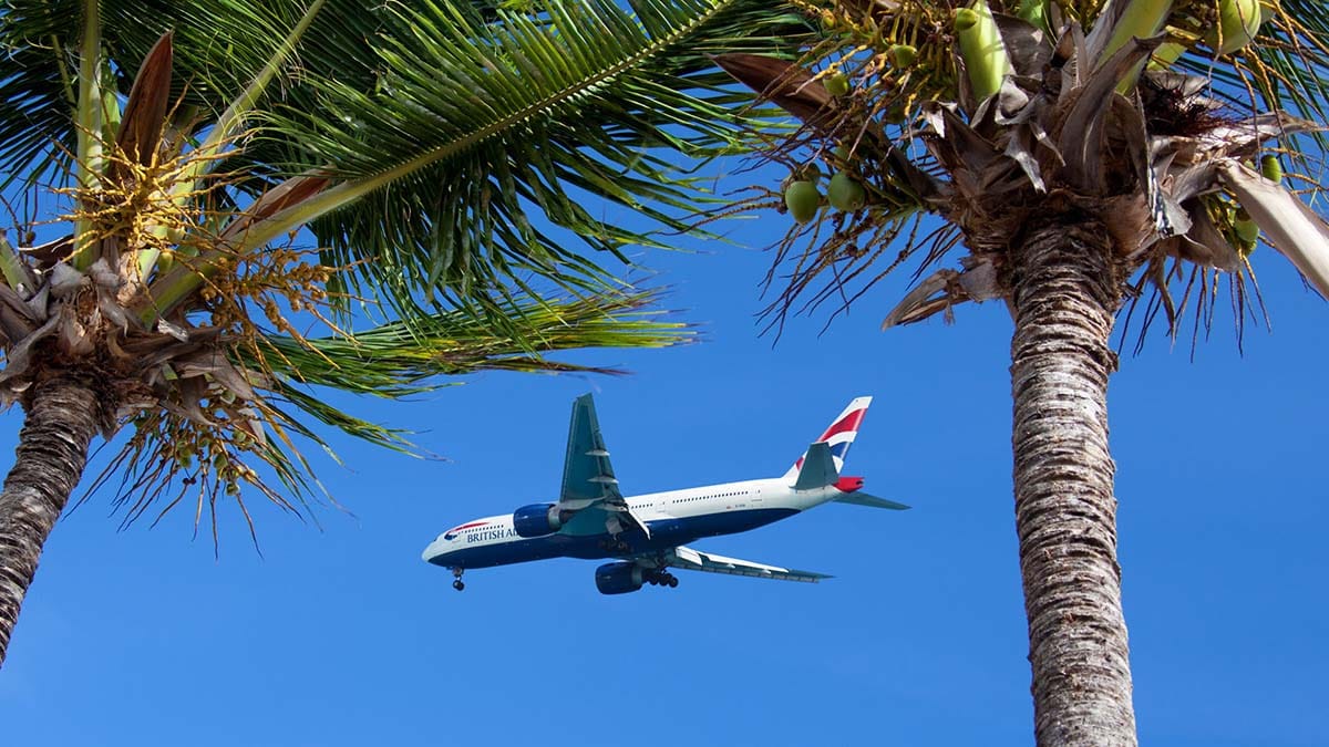 Holiday flight