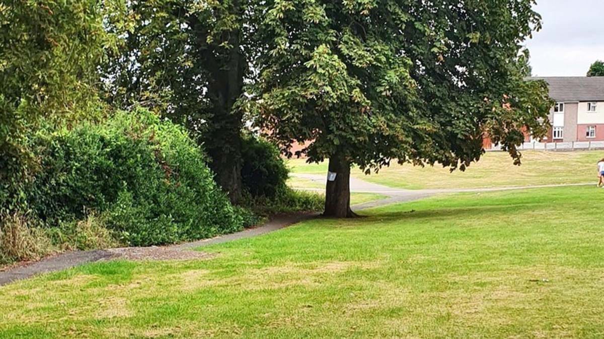 Land at Netherstowe