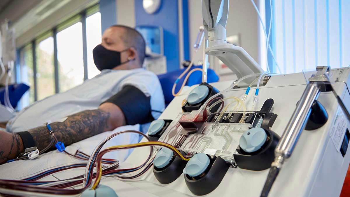 Blood plasma being donated