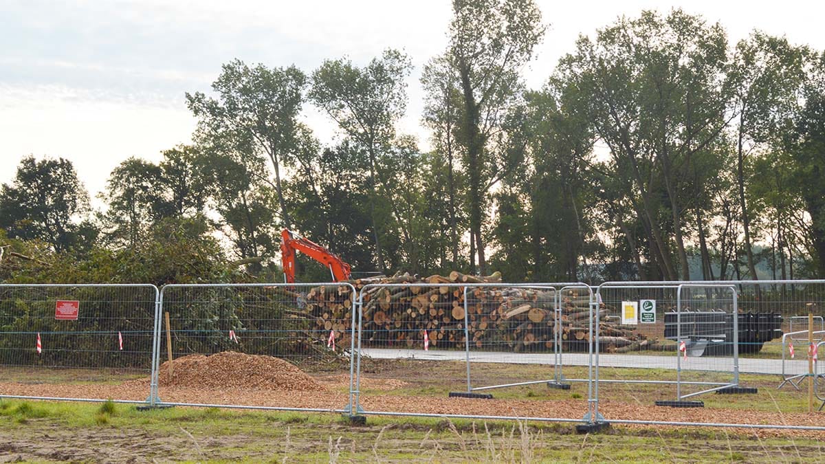 Trees being cut down to make way for HS2 in Lichfield. Picture: Extinction Rebellion