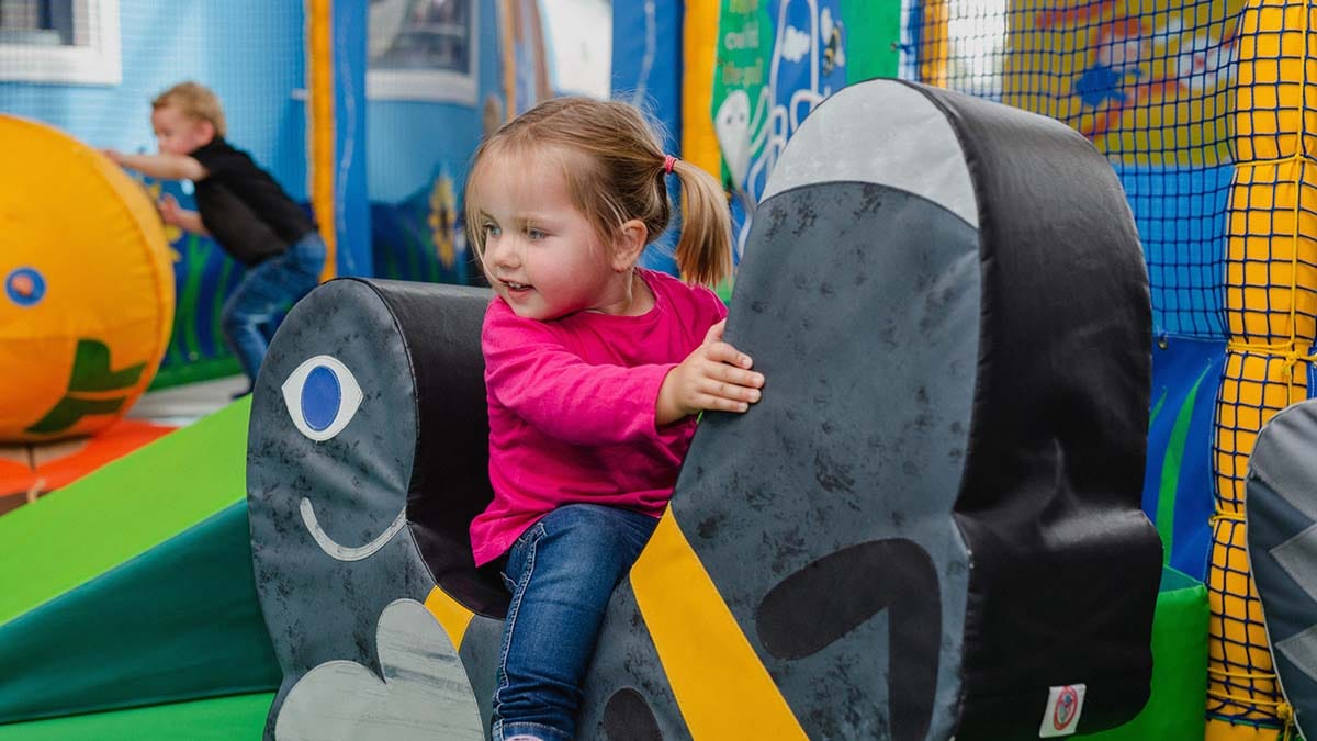 Children enjoying the soft play area at Dobbies