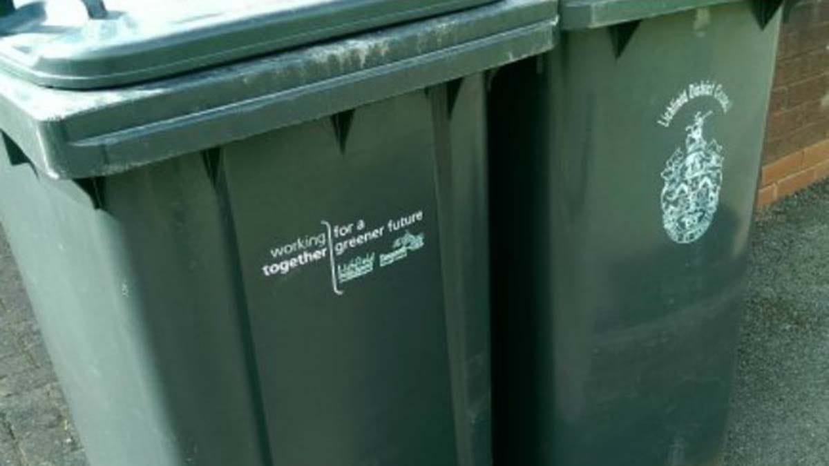 Black bins