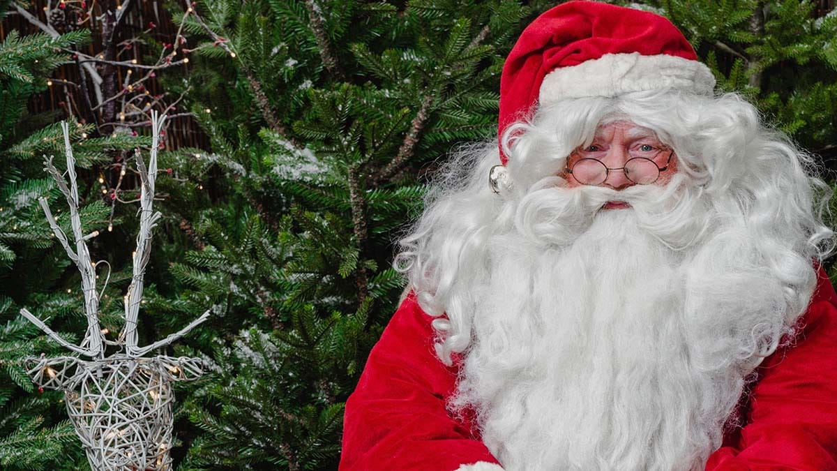 Santa at Dobbies Garden Centre