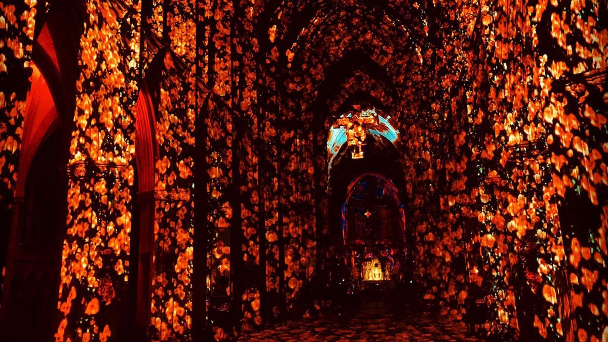 The Poppy Fields light display