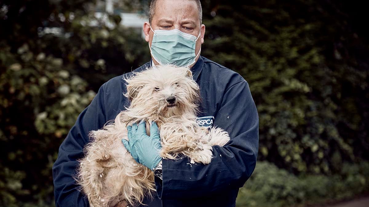 An RSPCA inspector with an animal