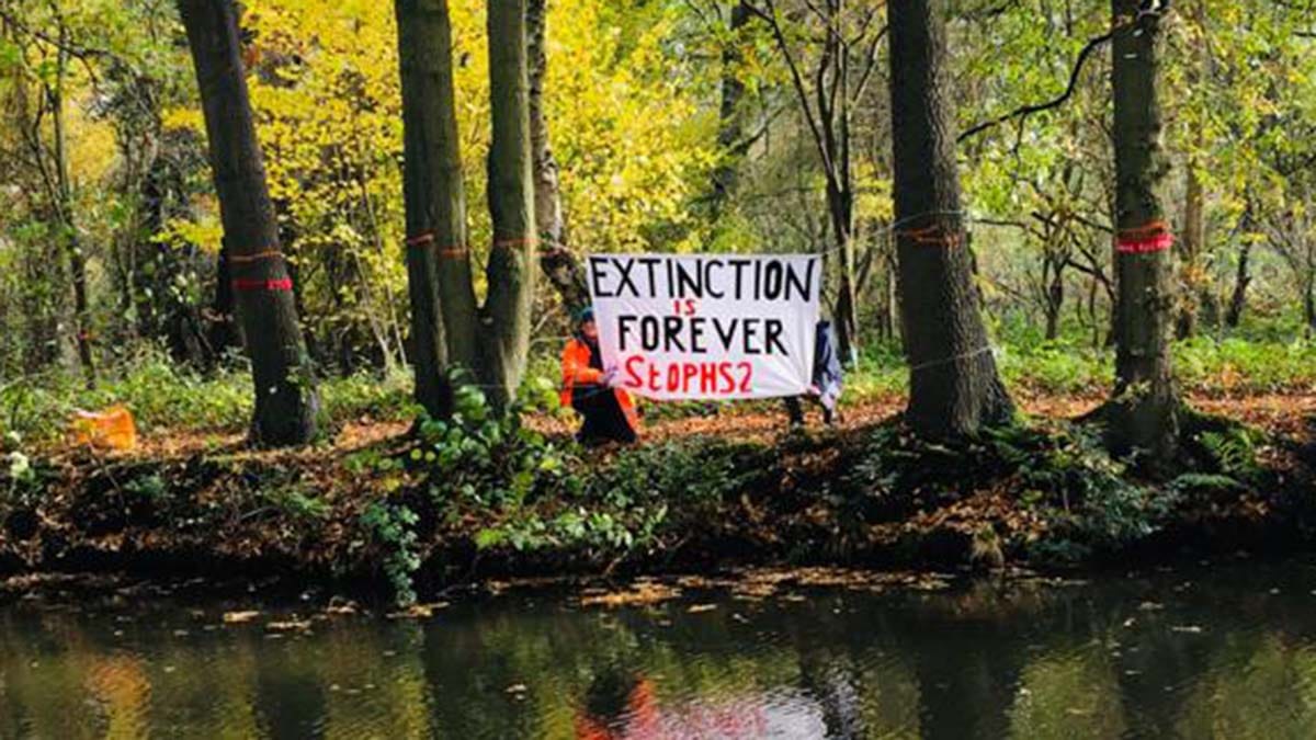 Campaigners in woodland at Fradley
