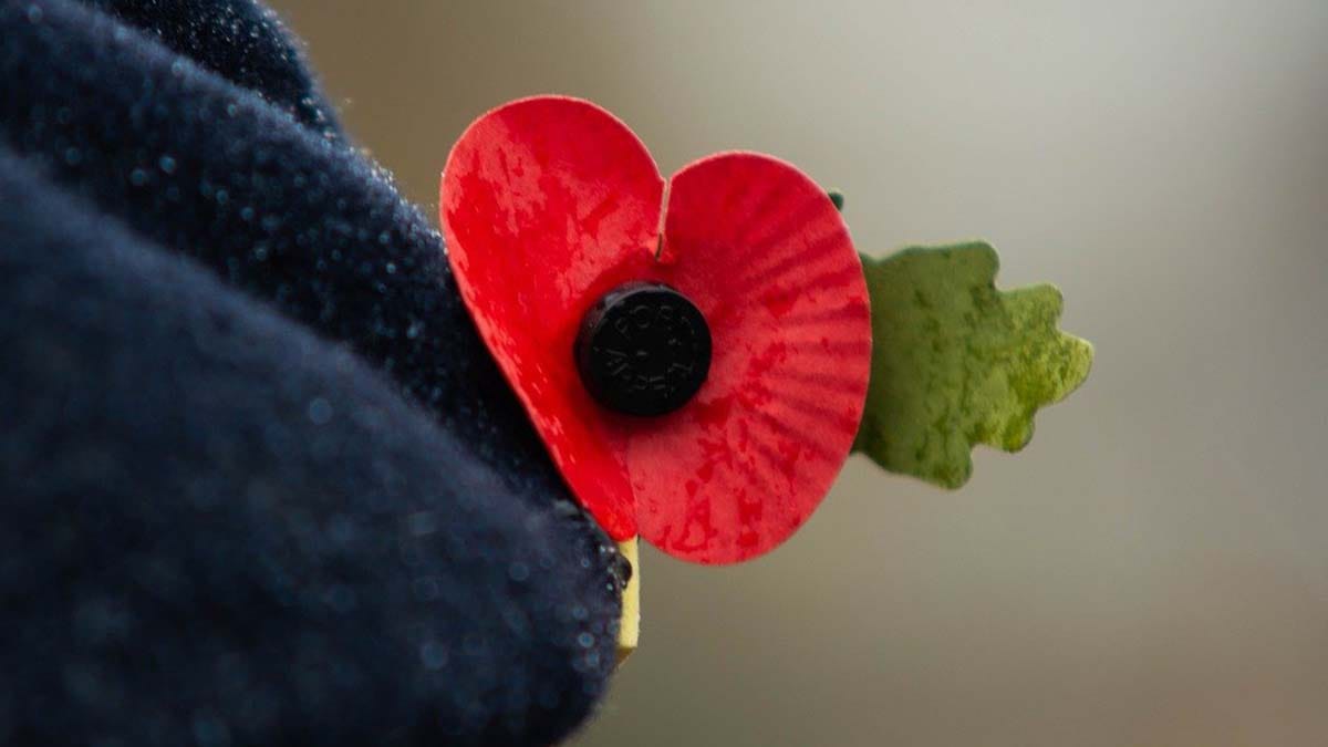 Poppy