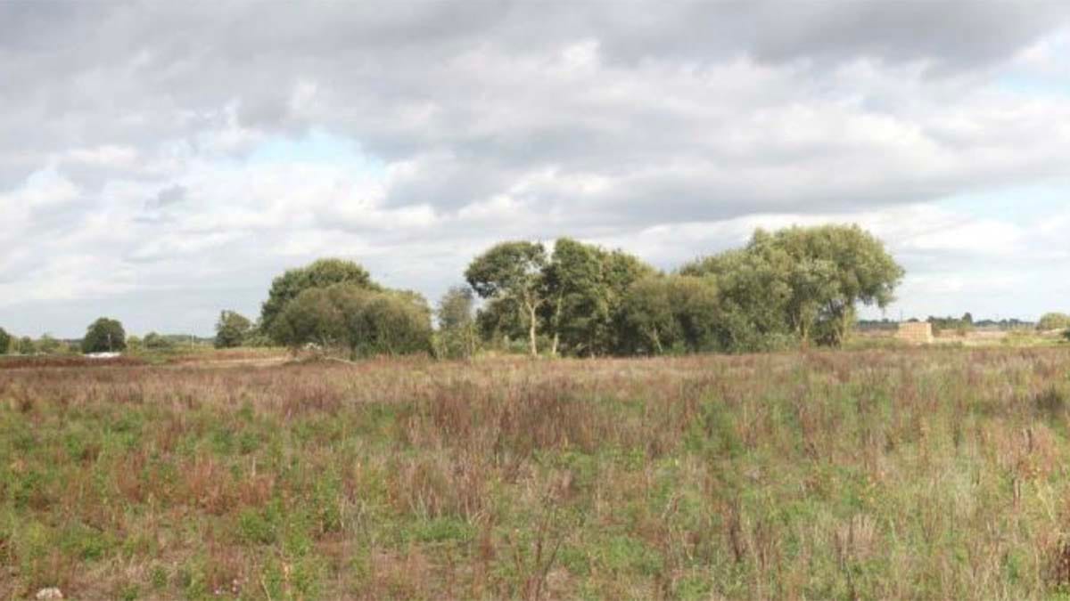 Part of the land which could be used to store HGVs