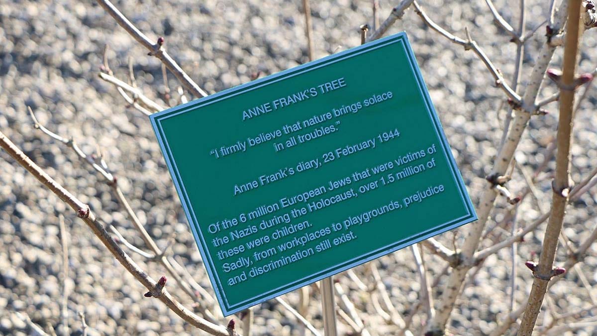 The plaque on the Anne Frank Tree at National Memorial Arboretum
