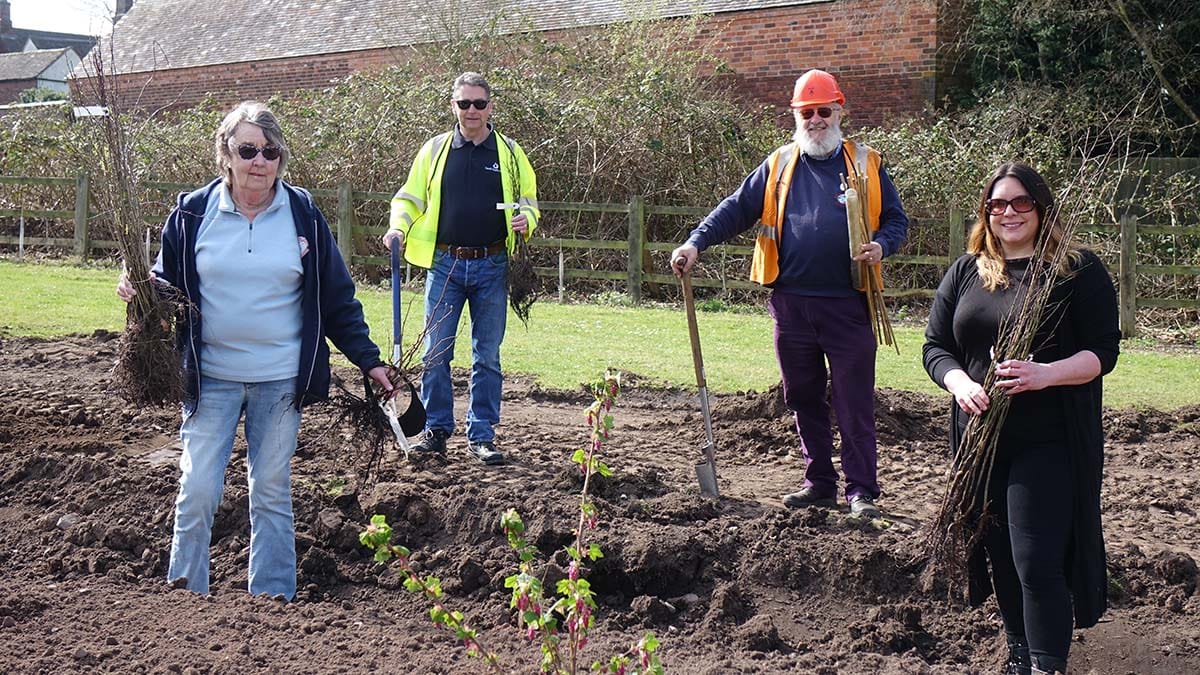 Chris Bull, Pete Aspley, Peter Buck and Caroline Cooper get ready to plant a section of hedge