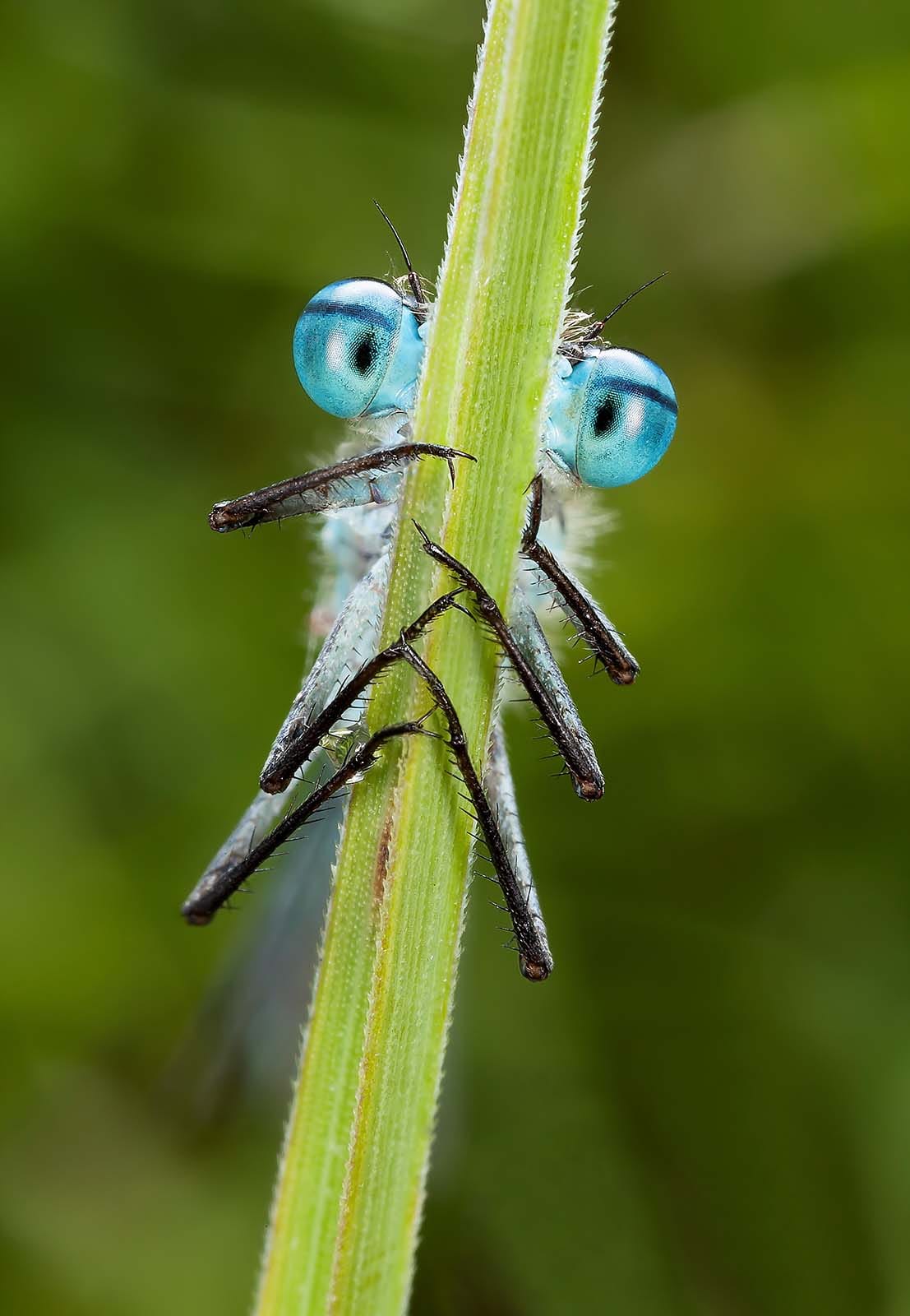 One of Darron Matthews' photographs
