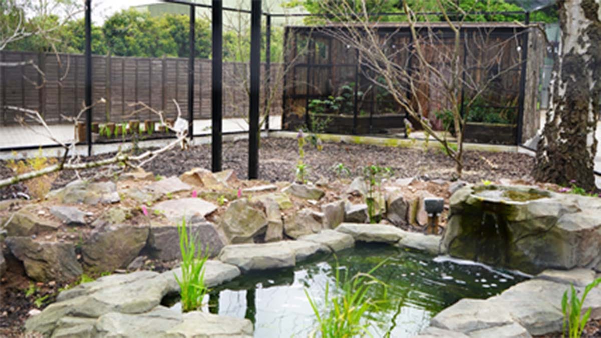 One of the new enclosures at Drayton Manor Park