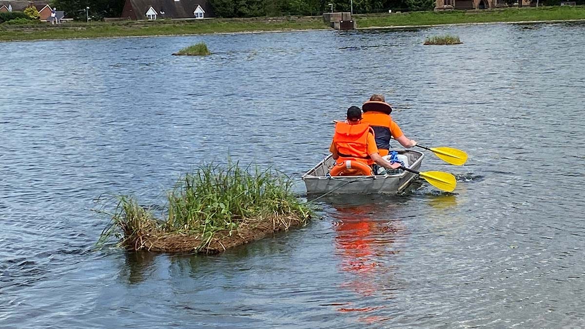 The new floating islands being taken out on Stowe Pool