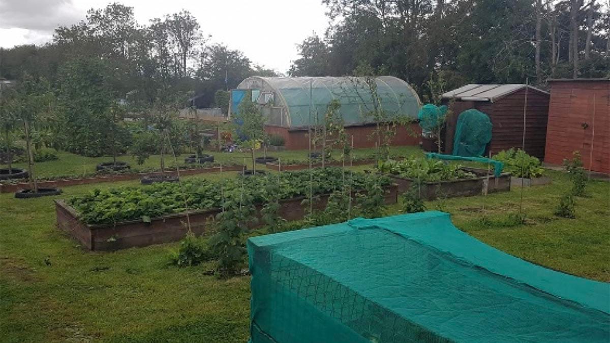 Allotment