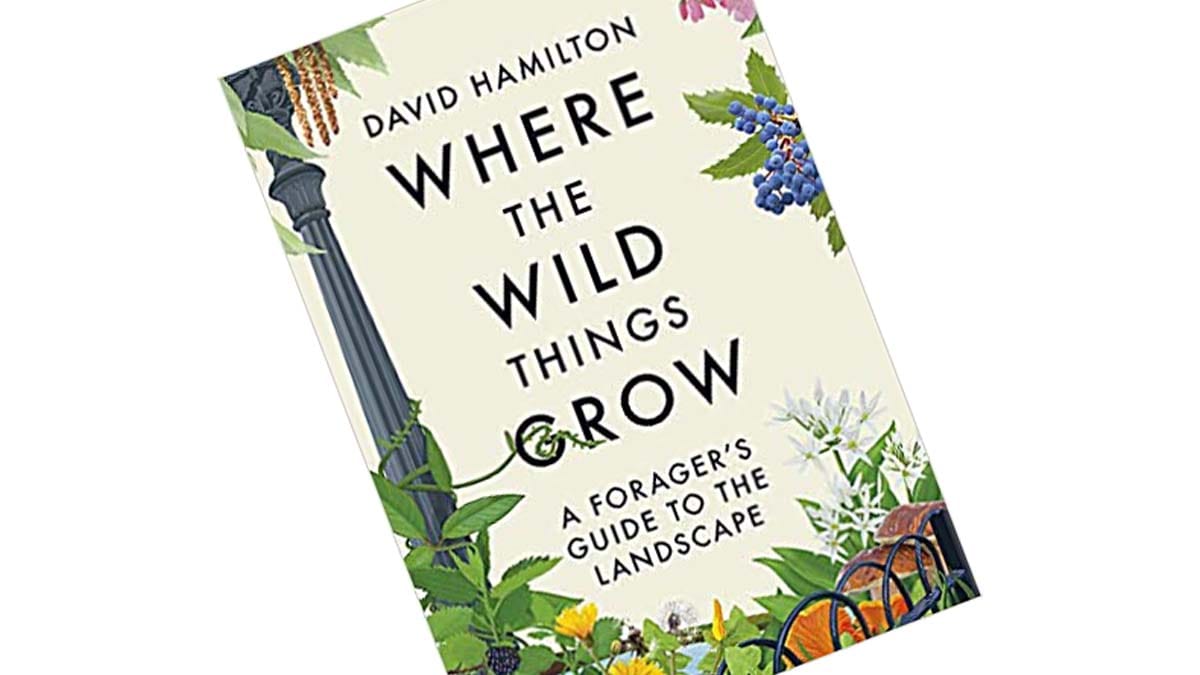 Where the Wild Things Grow