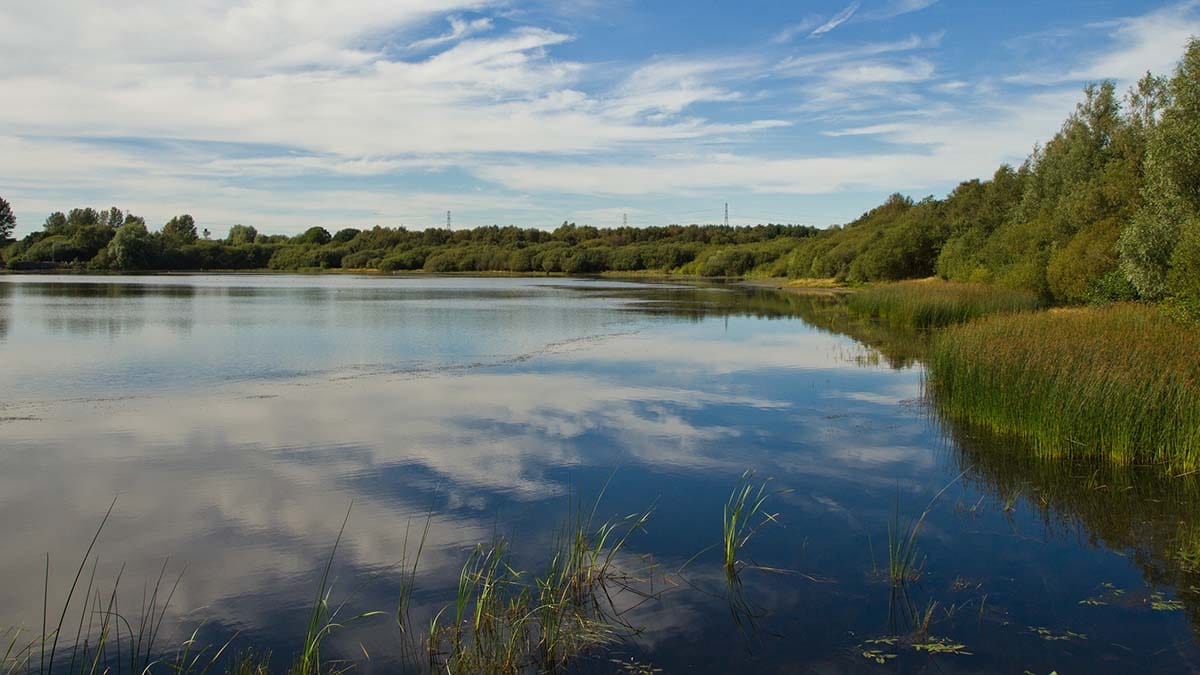 Chasewater