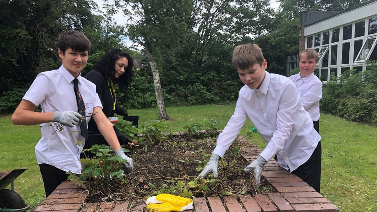 Pupils working on the allotments area