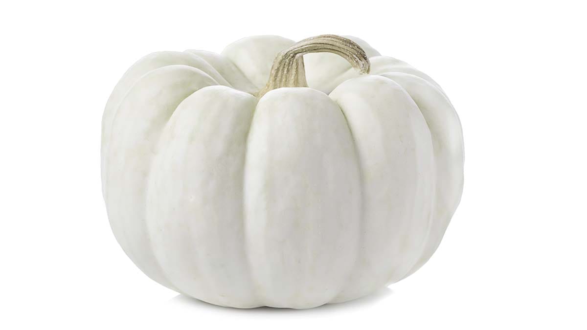One of the 'ghost' pumpkins