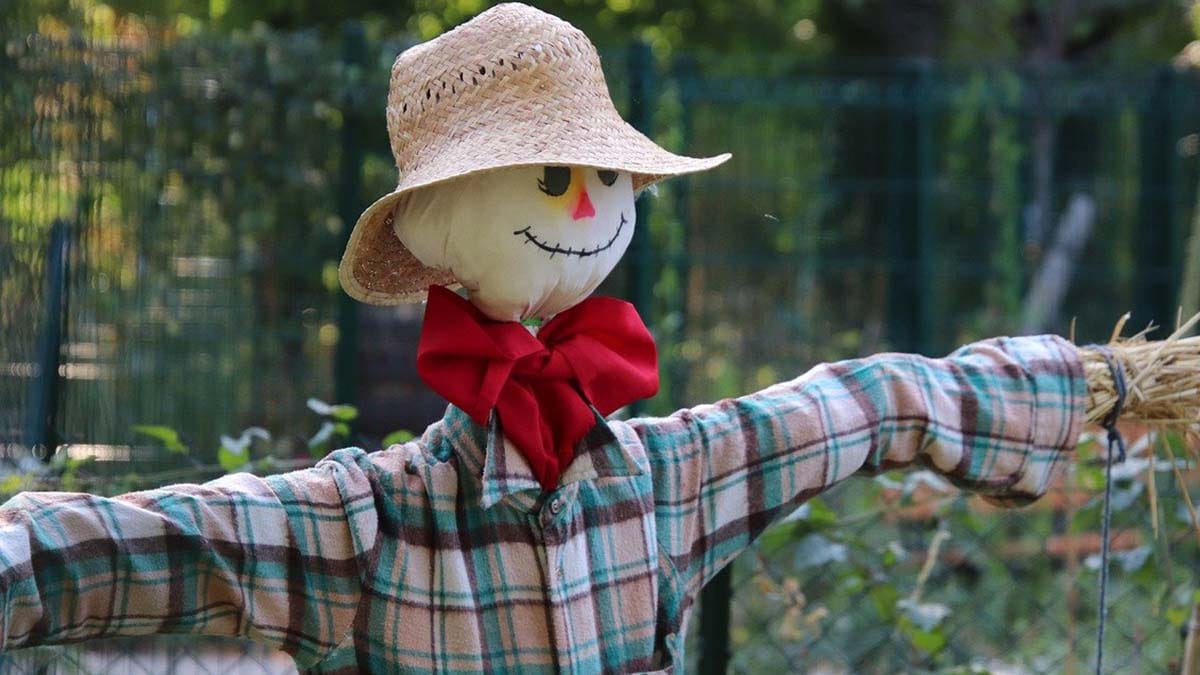 Scarecrow