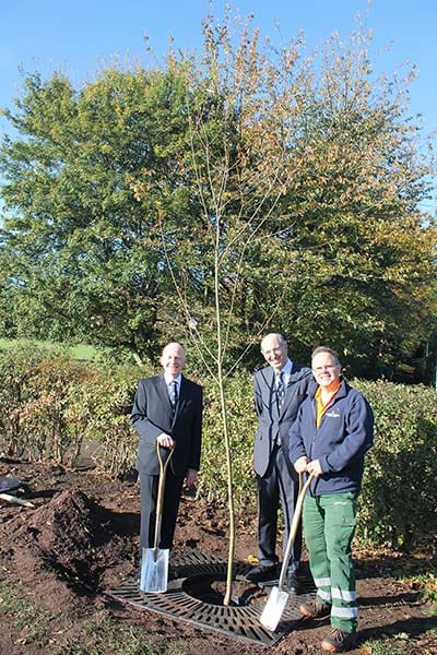John Winterton, Phil Jones and Paul Niven planting Johnson's Willow