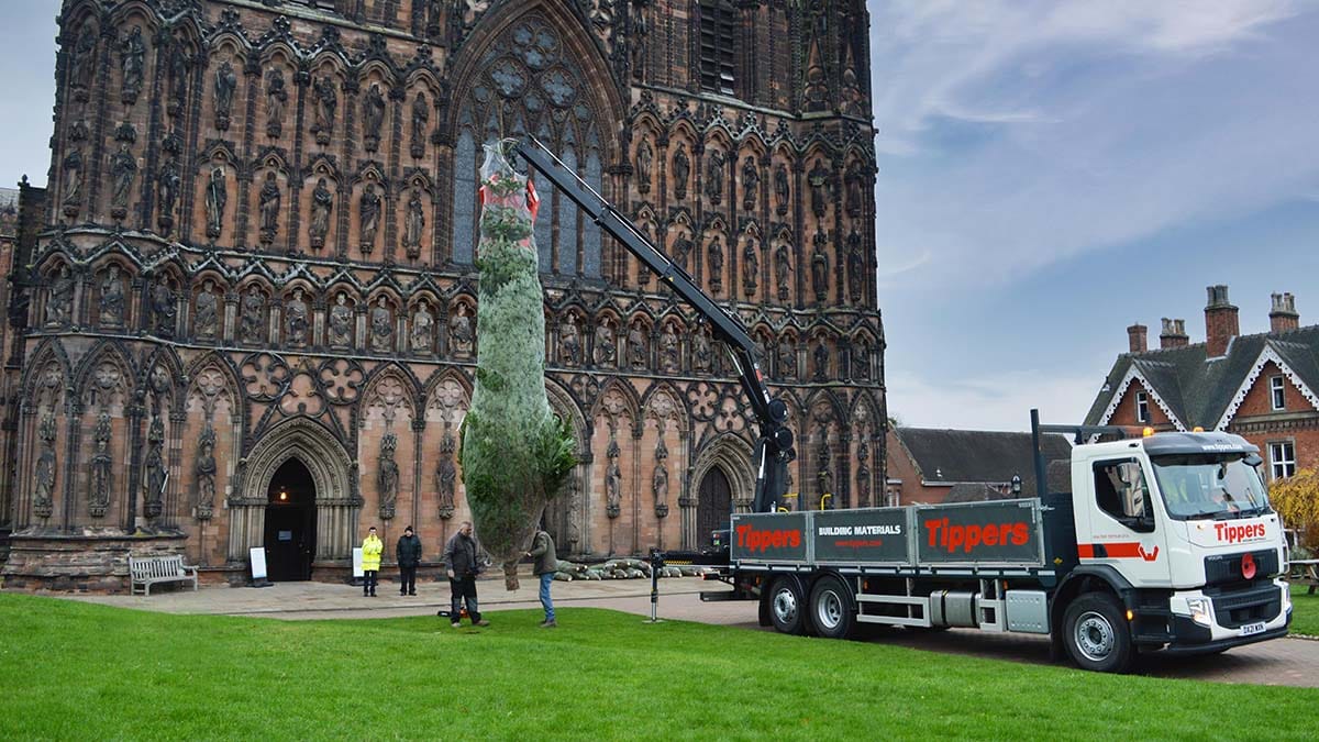The Lichfield Cathedral Christmas tree being lifted into place