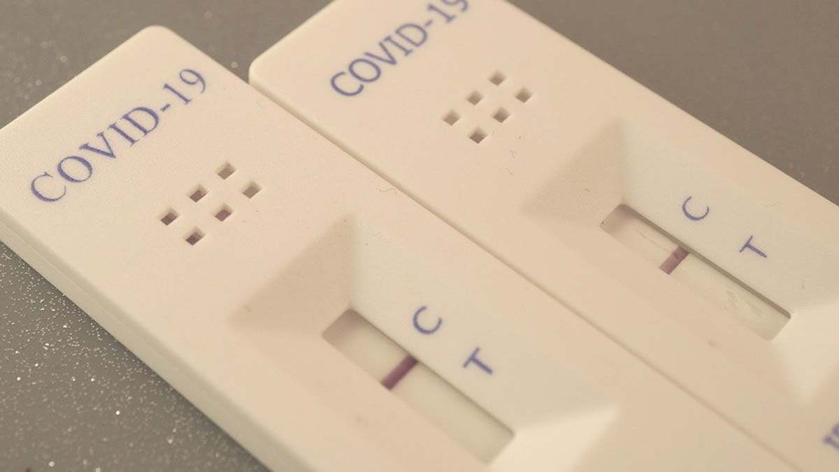 Coronavirus lateral flow tests