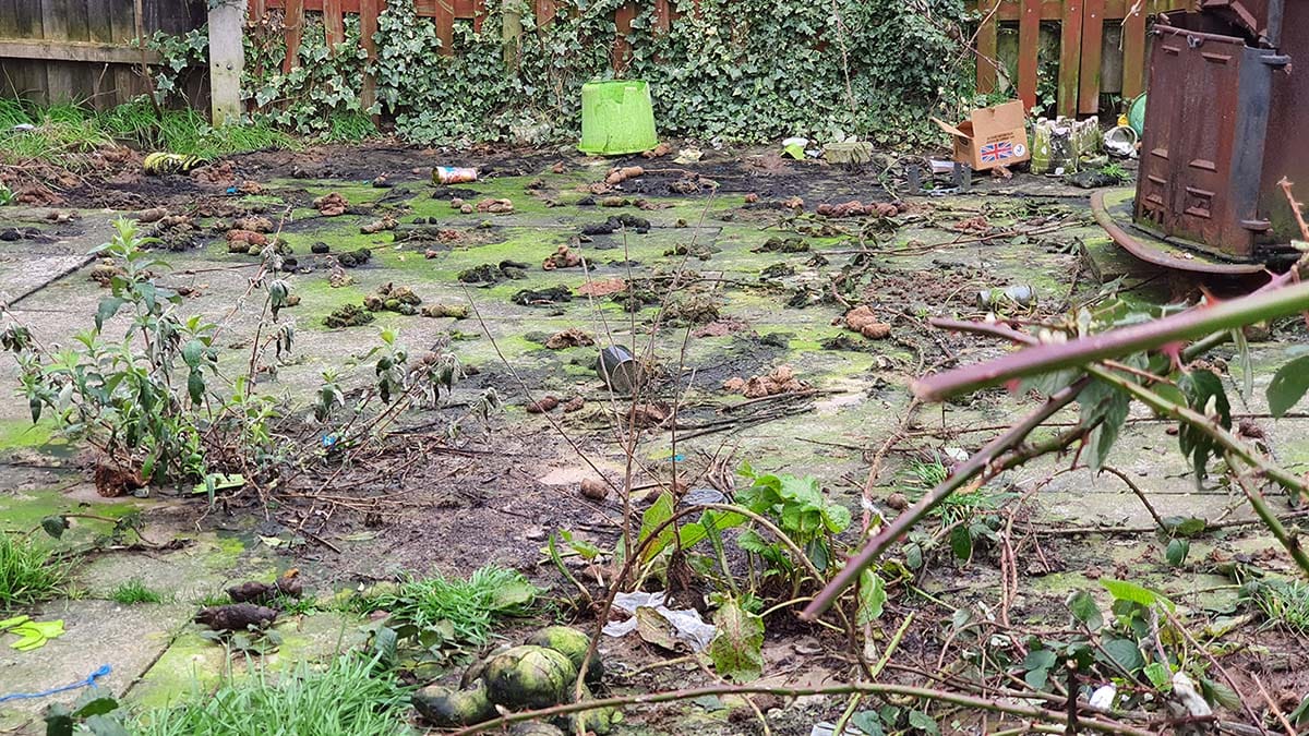 Dog poo in the garden in Mile Oak