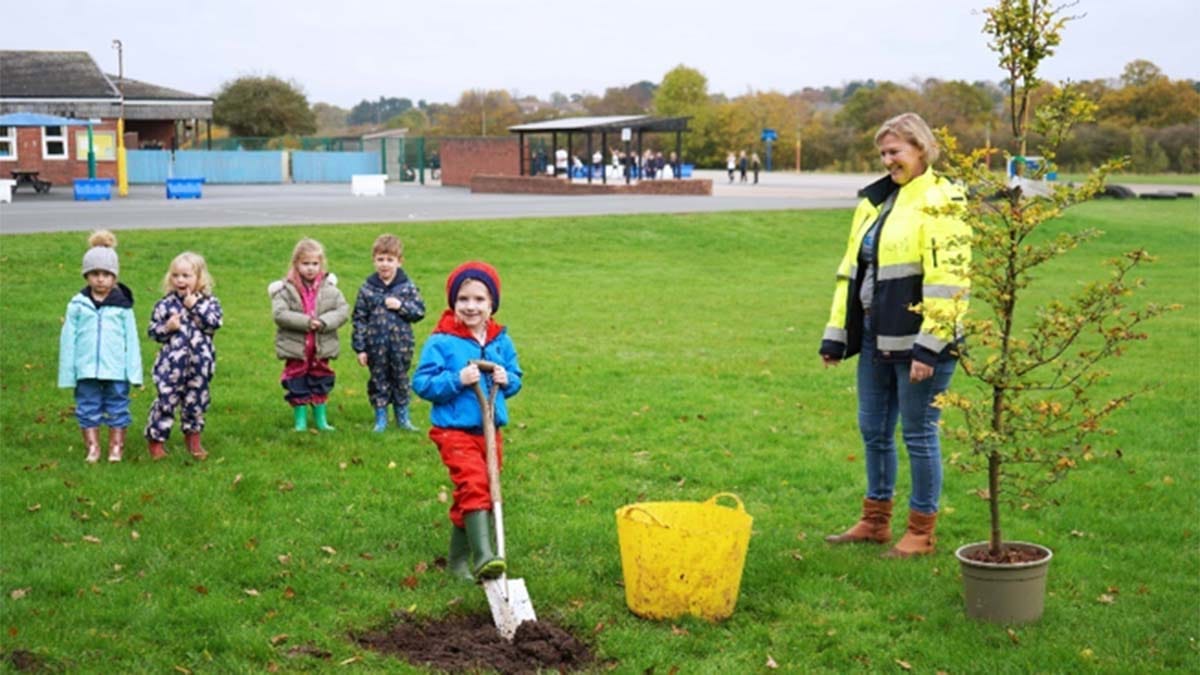 A tree being planted at Fulfen Primary School