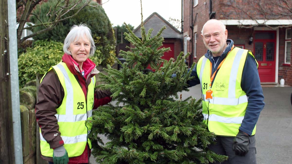 TreeCycle volunteers Ann and Lew Turner