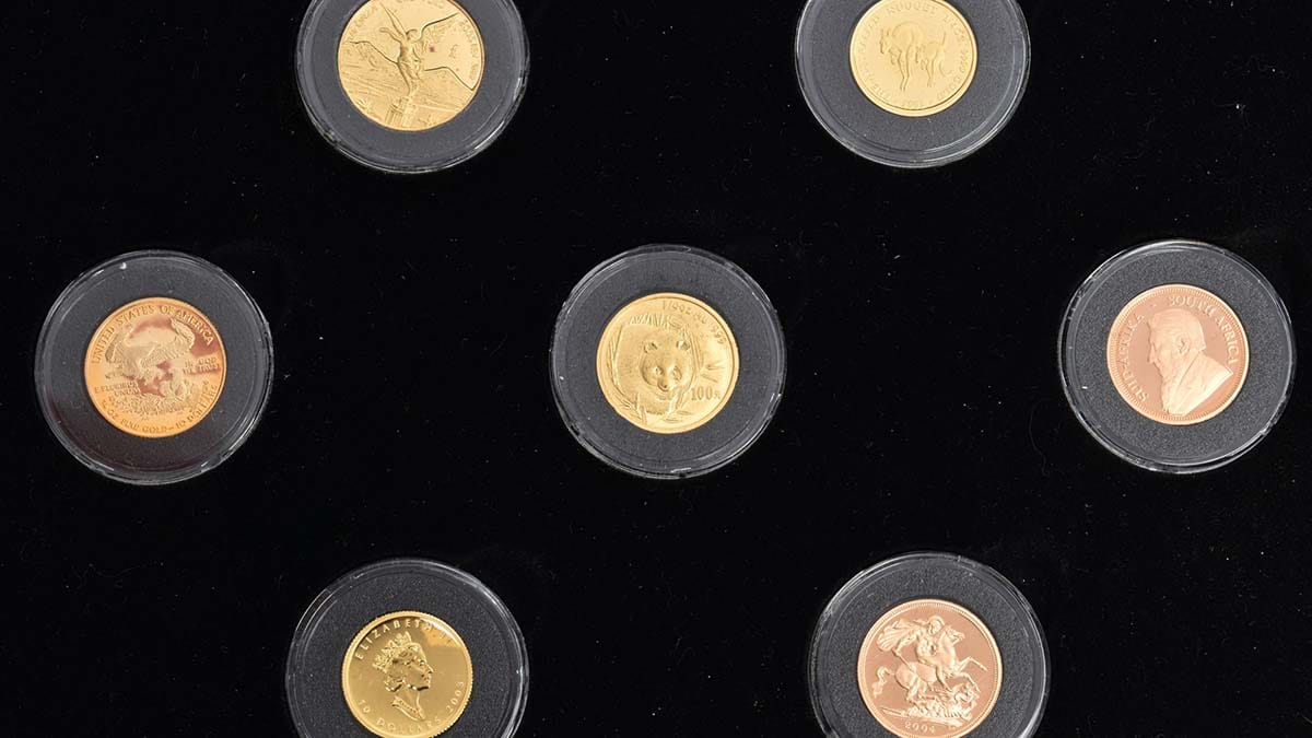The Magnificent Seven gold coin set