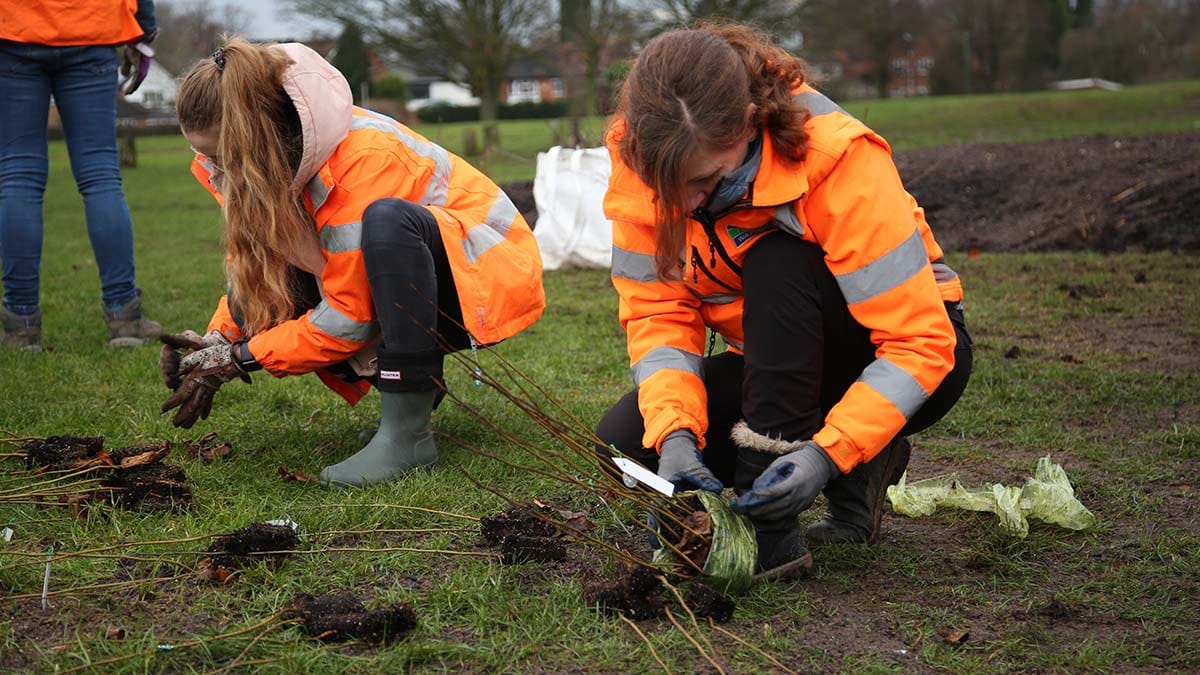 A Tiny Forest planting session
