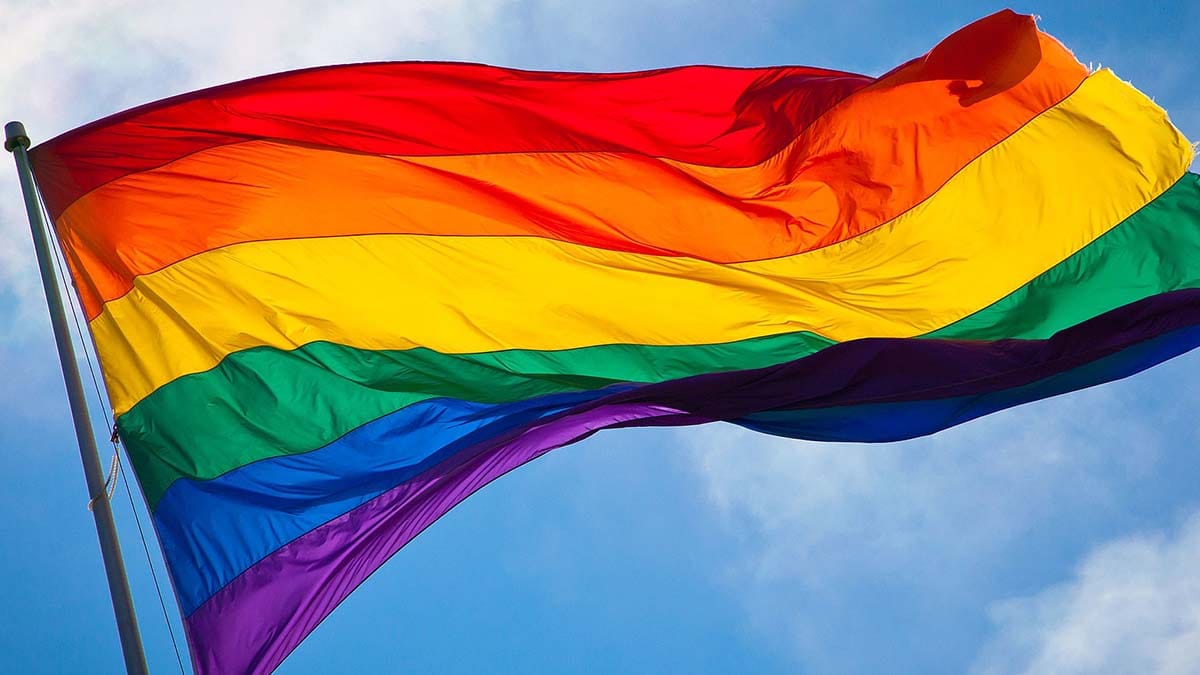 Rainbow flag