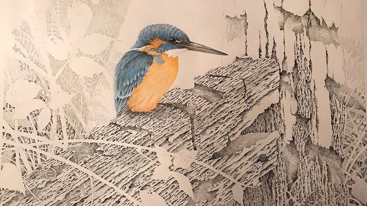 A kingfisher by John Cahoon