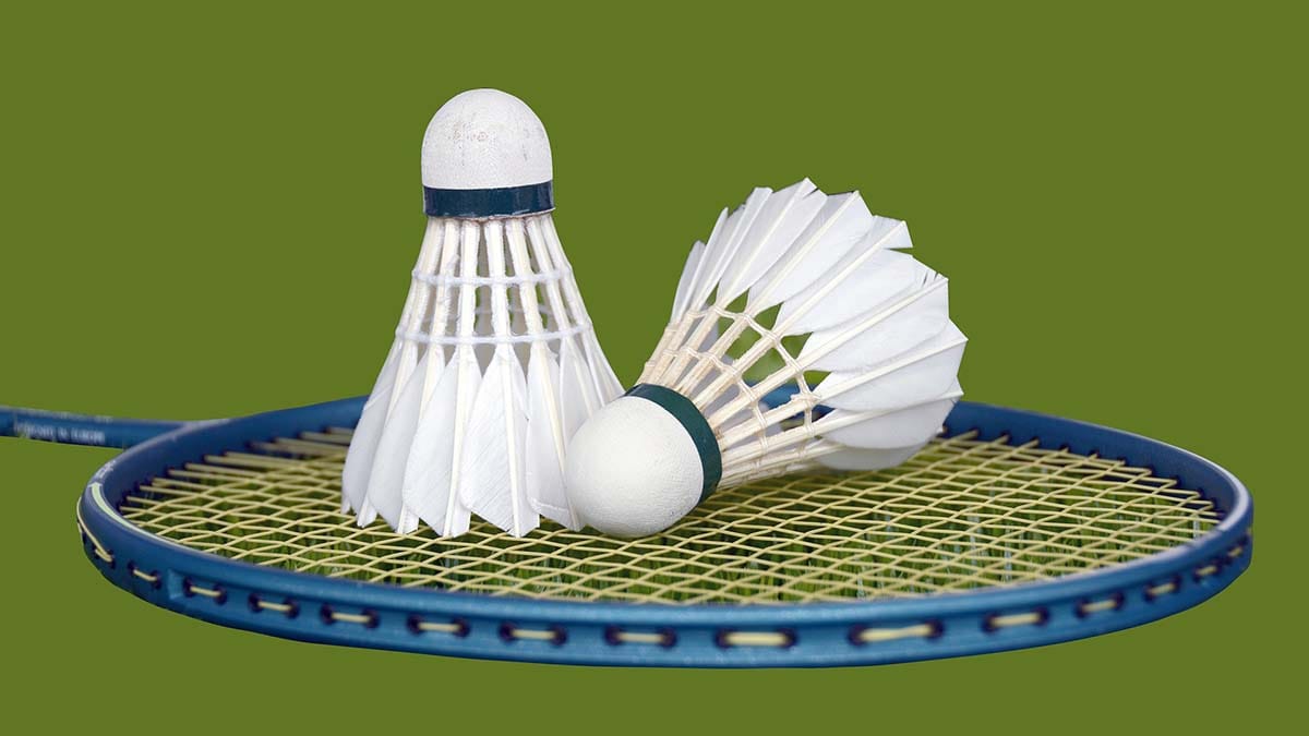 Badminton shuttlecocks