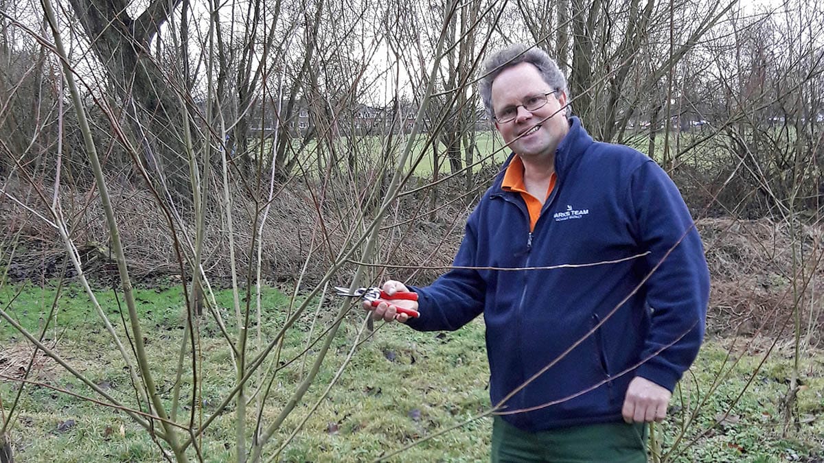 Gardener Paul Niven who took the cuttings from Johnson's Willow