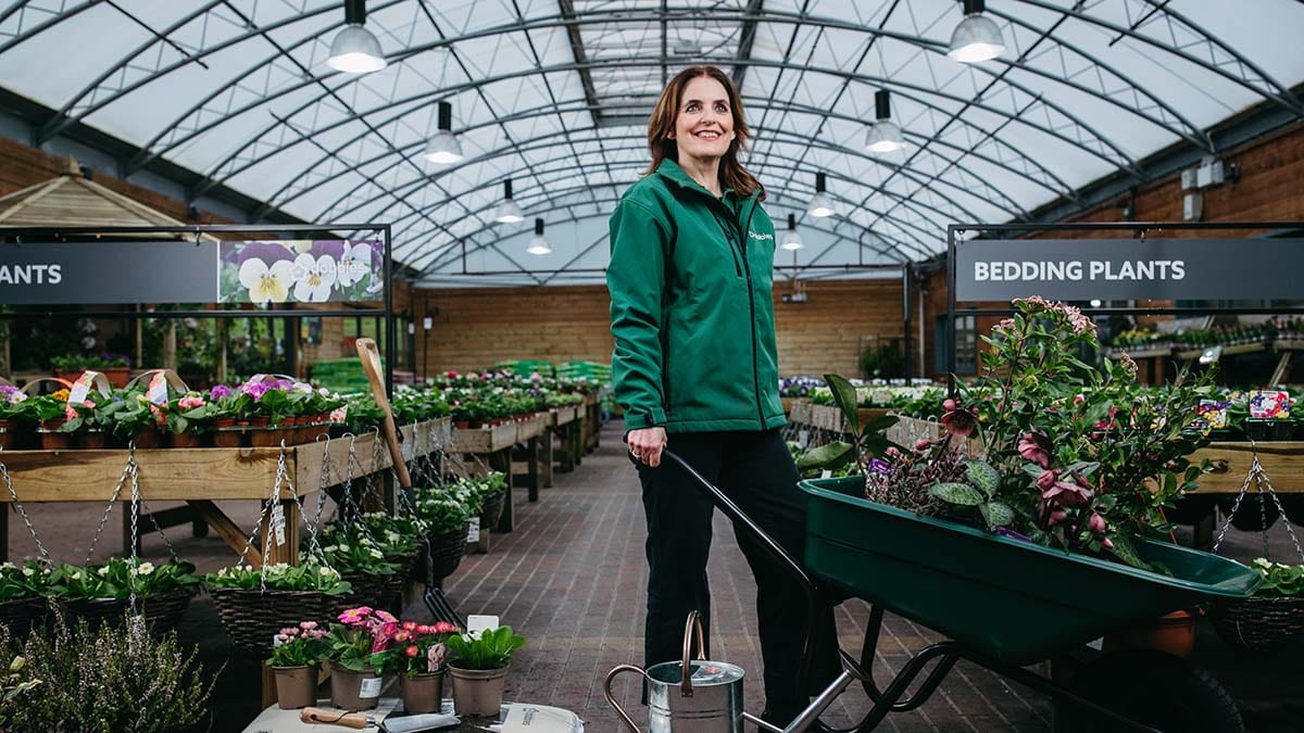 Dobbies