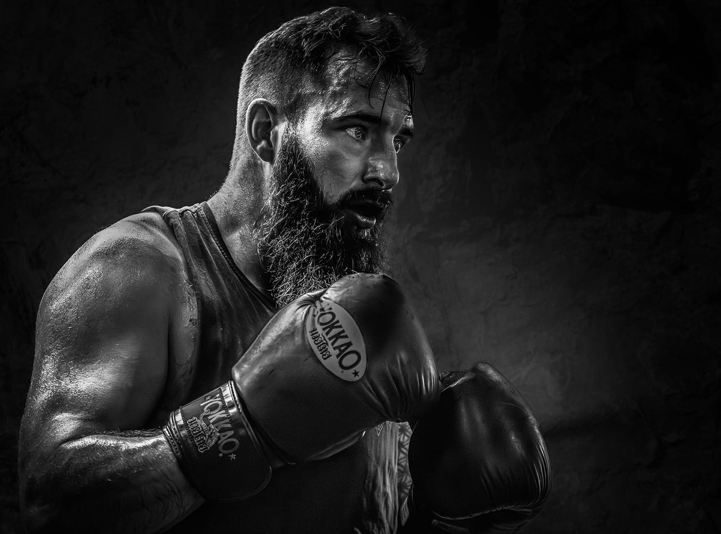 The Fighter by Joe Anderson