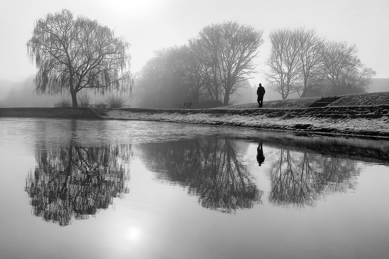 A walk in the fog by Richard Plant